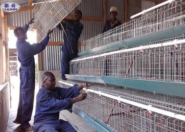 Custom Poultry Chicken Cages / Indoor Chicken Cage Angle Iron Steel Frame