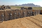 موانع دفاعی سنگین کیسه های شن Mil 10 Mil 3 موانع Hesco برای میدان تیراندازی