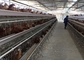 96 قفس باتری پرنده پرورش مرغ پرورش مرغزار برای مرغ های تخم گذار
