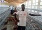 قفس مرغ لاشه تخم مرغ، قفس جوجه گوشتی پرندگان مرغ برای کنیا