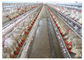 مرغداری قفس مرغ گوشتی Q235 با گواهینامه CE