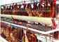 نوع خودکار سیستم 128 مرغ قفس مرغ تجهیزات مزرعه لایه تخم مرغ