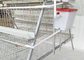 قفس پرورش مرغ با ظرفیت 160 نوع A برای طیور