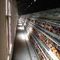 قفس لایه لایه مرغ خودکار حیوانات تجاری برای تجهیزات مرغداری