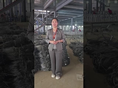 نمایشگاه کارگاه شبكه سيم نامرئي