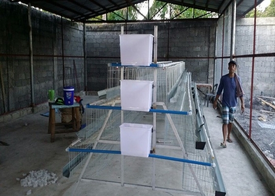3 طبقه 4 اتاق 500-1000 پرنده قفس پرورش مرغ برای مزارع فیلیپین