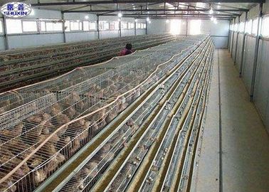 Simple Q235 Quail تخمگذار قفس 800 پرندگان ظرفیت طولانی کار با استفاده از زندگی