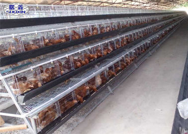سیستم قفس باطری مرغ باز لایه ای گالوانیزه برای مزرعه مرغ