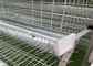 96/120/128/160 جوجه قابل تنظیم قفس مرغ تخمگذار برای مزرعه