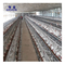 قفس های باتری Hdg حیوانات برای جوجه های تخم گذار تجهیزات مزرعه مرغ