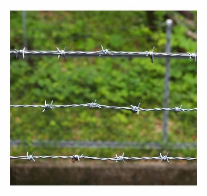 KN فروش داغ سیم خاردار برق گالوانیزه سیم خاردار