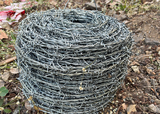 حفاظت از مزرعه دو رشته ای معکوس پیچ سیم خاردار فولاد ضد زنگ