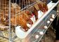 قفس باتری مرغ تخم مرغ تخم مرغ ، سیستم قفس لایه مرغ طیور مزرعه