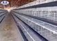 سیستم قفس باطری مرغ باز لایه ای گالوانیزه برای مزرعه مرغ