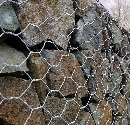 Shuxin گرم گالوانیزه 60 * 80mm سوراخ 2.7mm Wire Mesh Gabion سبد برای کنترل سیل