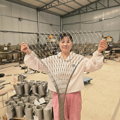 ساخت حصار حیوانات نرده انعطاف پذیر مش سیم طناب استیل ضد زنگ برای مش بالا رفتن از گیاهان / مش کابلی