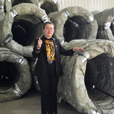 Egoza Concertina Wire شمشیربازی حفاظت تیز برای سایت های بحرانی