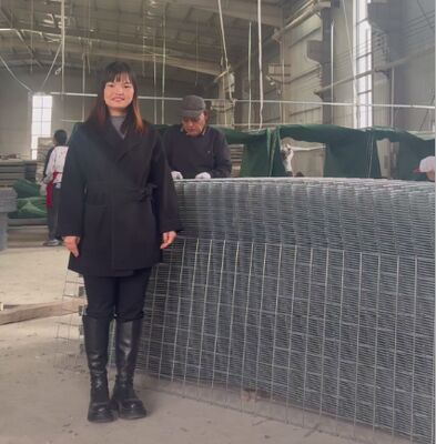 SX10 شن و ماسه HESCO موانع دفاعی با ژئوتکستیل