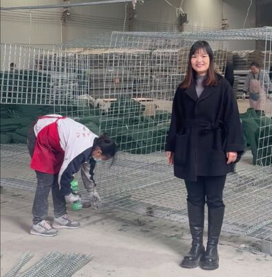 مل 1 ارتش محافظ موانع حفاظت از دیوار گالوانیزه پوشانده شده با ژئوتکستیل